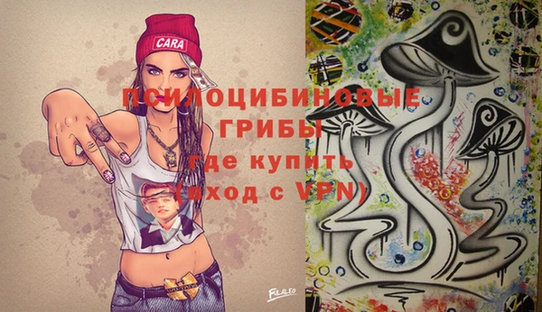 дурь Алзамай