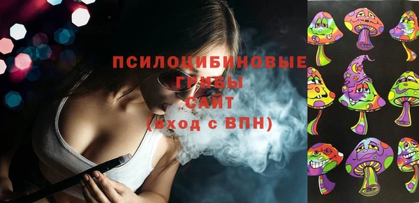 ПСИЛОЦИБИНОВЫЕ ГРИБЫ Алексин